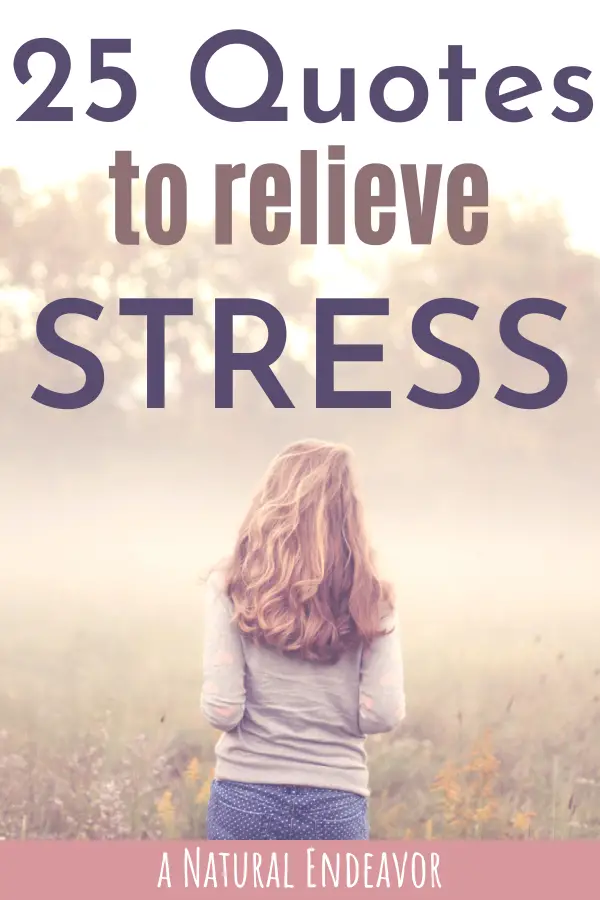 Quotes to relieve stress