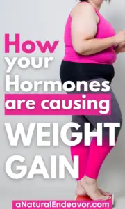 How your Hormone Imbalance is causing you to gain weight - a Natural ...