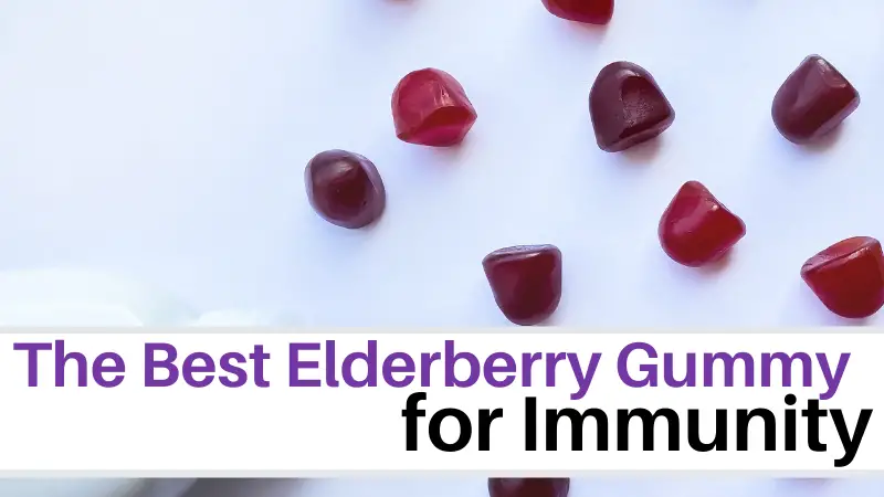 The Best Elderberry Gummies for immunity every day