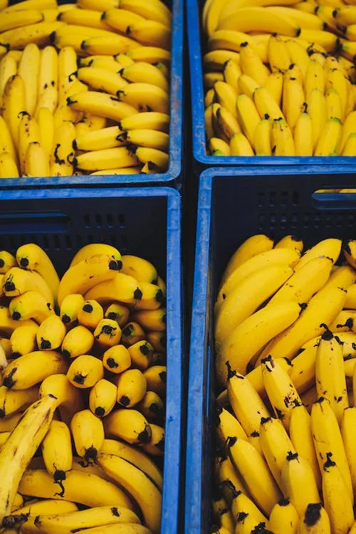 Free Ripe Bananas Stock Photo